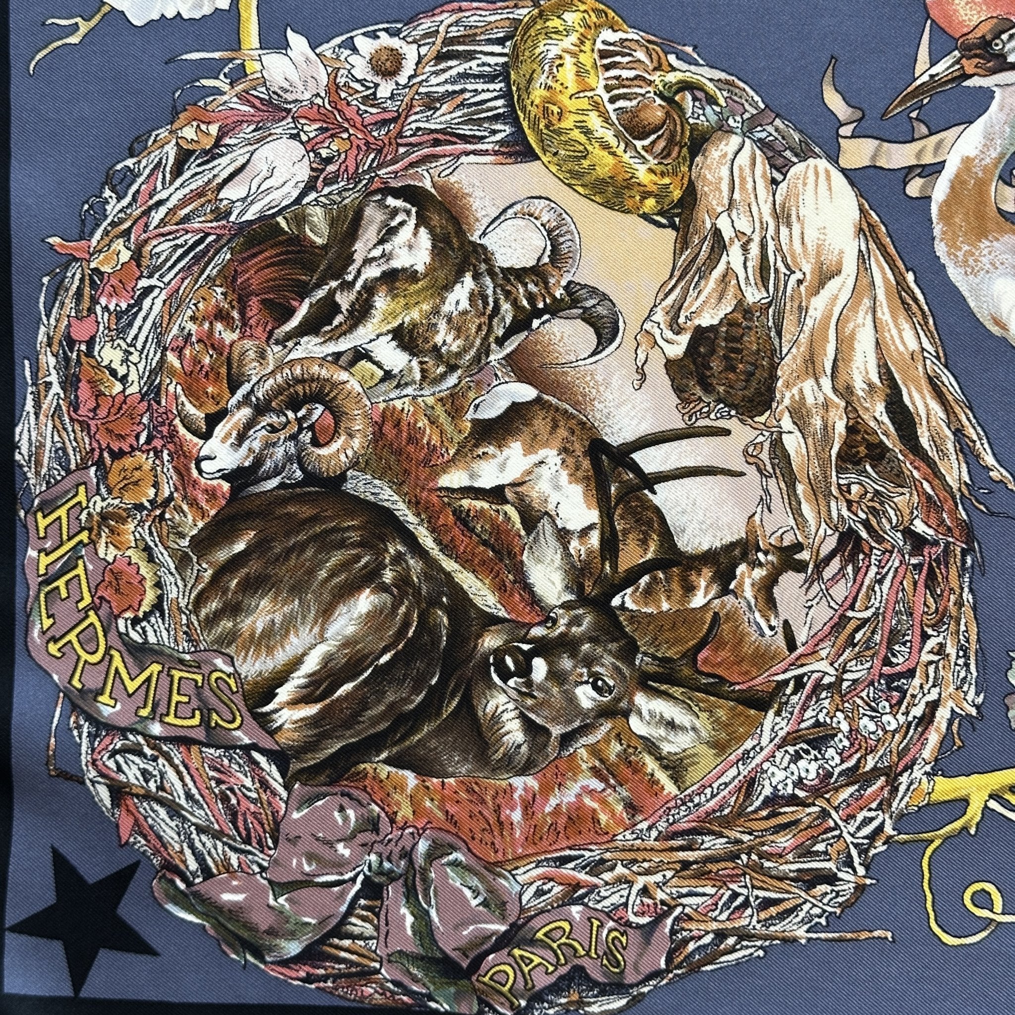 Faune et Flore du Texas - FOULARD HERMES 90 CM