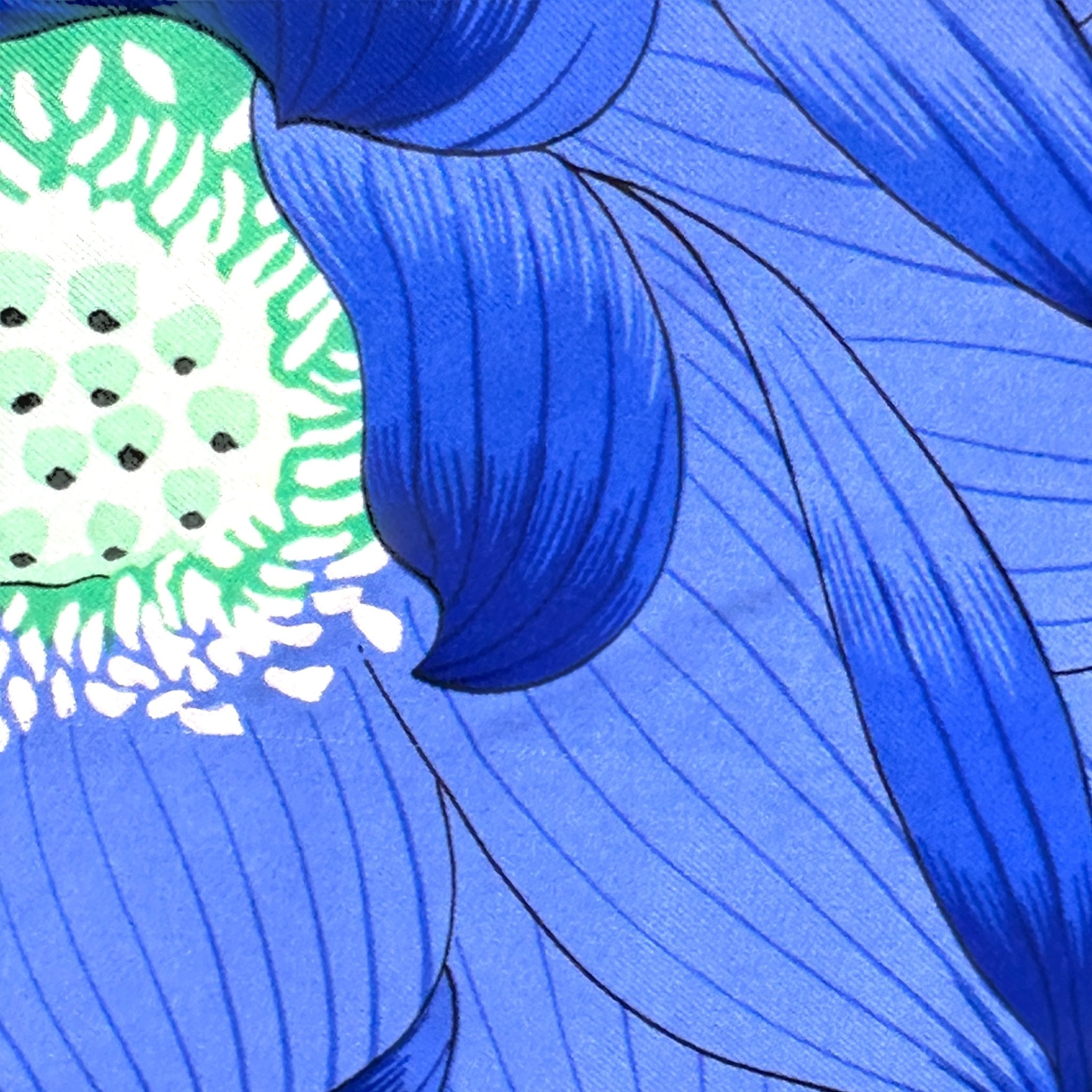 fleur de lotus bleue