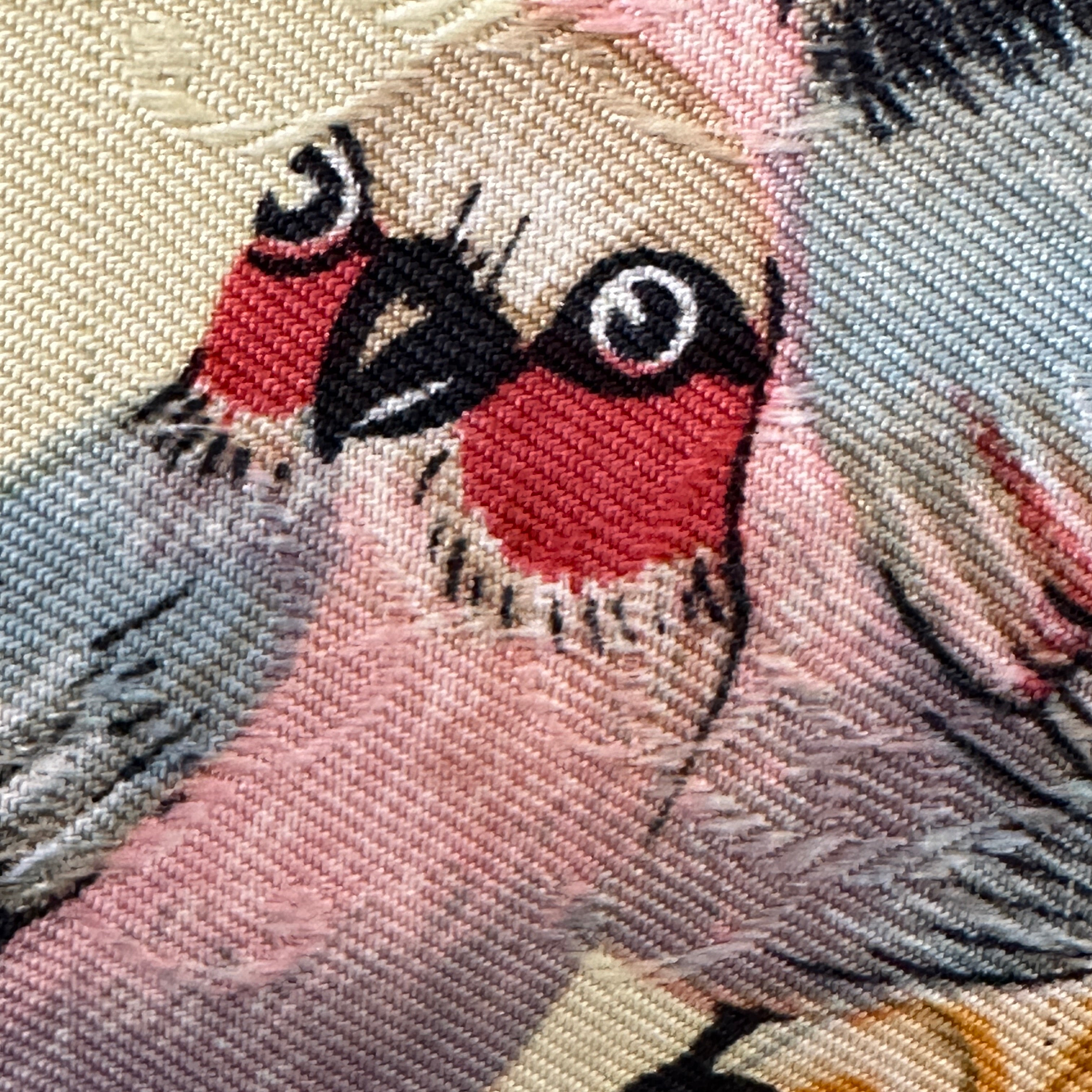 gros-plan-un-dessin-d-un-oiseaux-rose-et-rouge