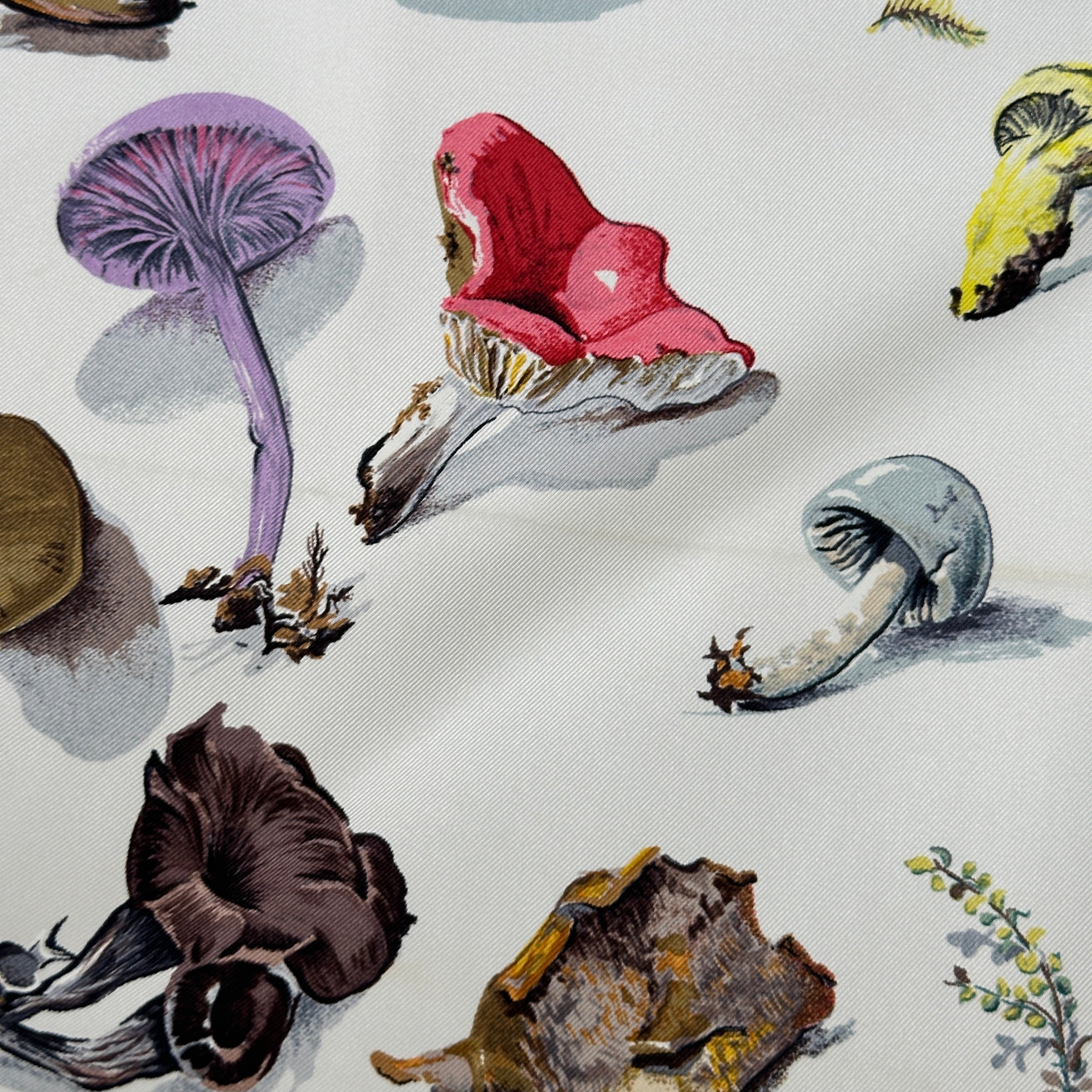 dessin-champignons-violet-et-rouge