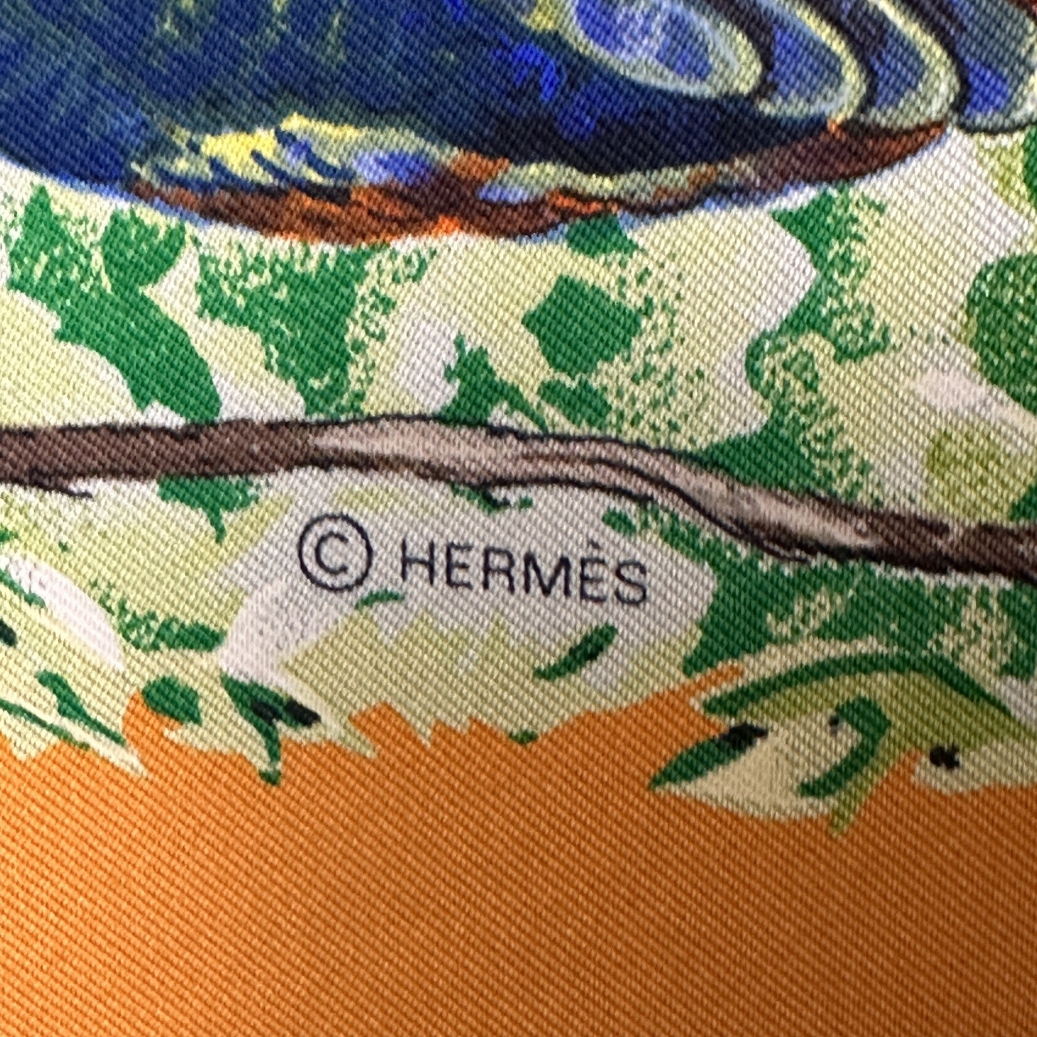 copyright logo hermes ur le foulard carre equateur 
